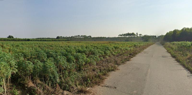 ที่ดิน 700000 ฉะเชิงเทรา พนมสารคาม หนองแหน