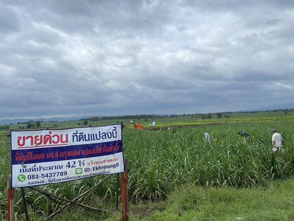 ที่ดิน 1800000 ตาก แม่สอด แม่ปะ