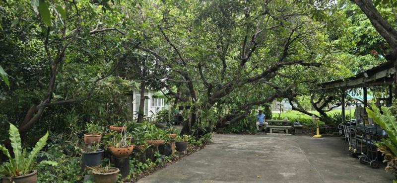 ที่ดิน 24500000 กรุงเทพมหานคร เขตวังทองหลาง วังทองหลาง