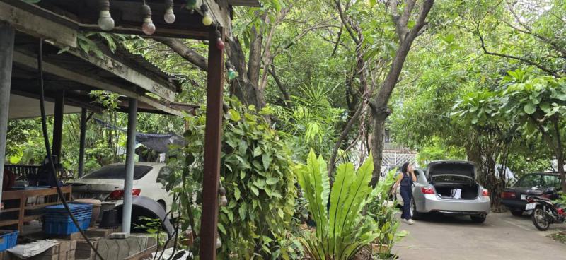 ที่ดิน 24500000 กรุงเทพมหานคร เขตวังทองหลาง วังทองหลาง