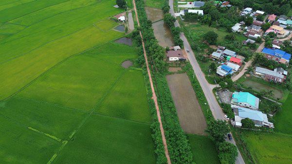 ที่ดิน 1250000 ชัยภูมิ เกษตรสมบูรณ์ กุดเลาะ