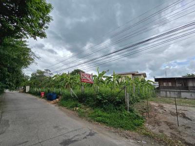 ที่ดิน 2800000 นครราชสีมา เมืองนครราชสีมา ในเมือง