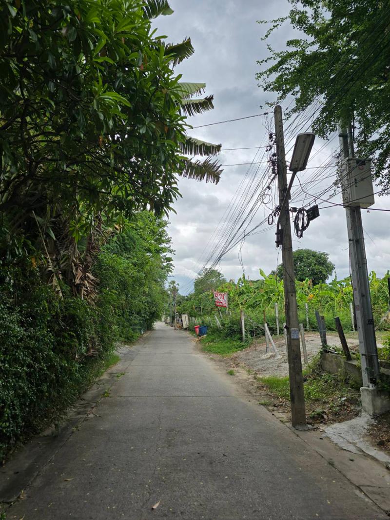 ที่ดิน 2800000 นครราชสีมา เมืองนครราชสีมา ในเมือง