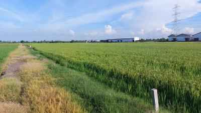 ที่ดิน 2600000 นนทบุรี ไทรน้อย ราษฎร์นิยม