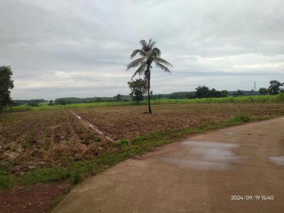 ที่ดิน 1750000 มุกดาหาร เมืองมุกดาหาร คำป่าหลาย