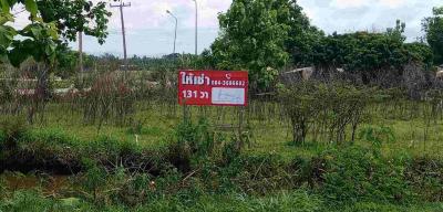 ที่ดิน 5000 เชียงใหม่ สันกำแพง แช่ช้าง