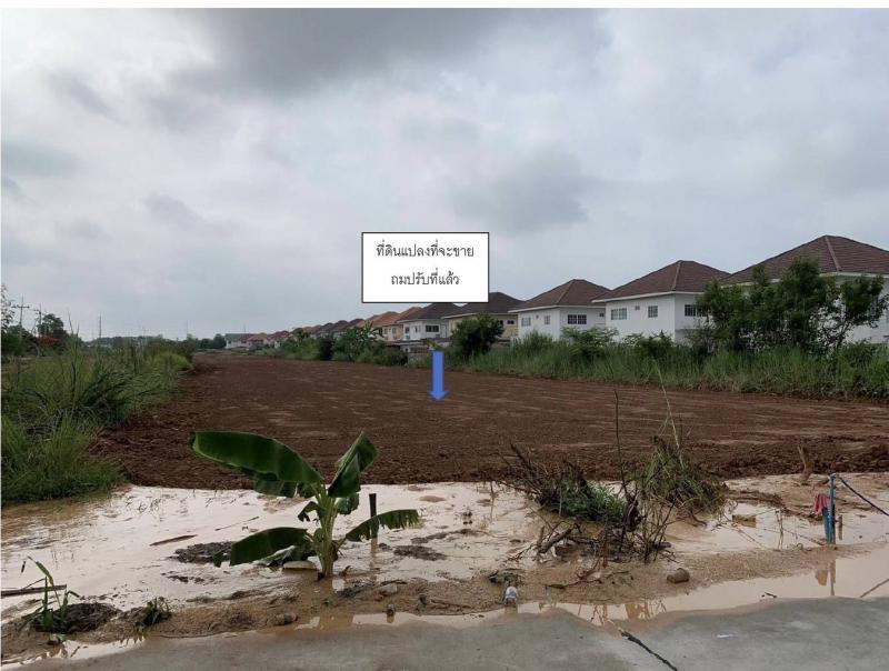 ที่ดิน 35000000 พิษณุโลก เมืองพิษณุโลก ท่าทอง