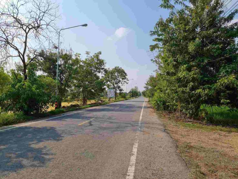 ที่ดิน 44984940 ปทุมธานี หนองเสือ หนองสามวัง