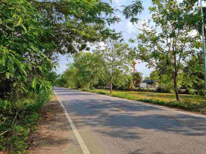 ที่ดิน 44984940 ปทุมธานี หนองเสือ หนองสามวัง