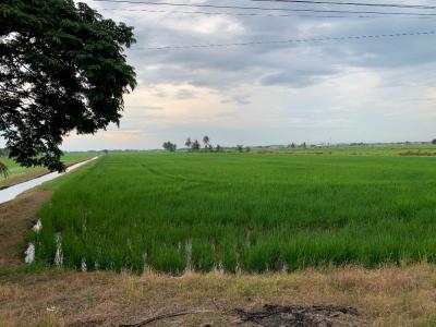 ที่ดิน 139195000 ปทุมธานี ลำลูกกา ลำลูกกา