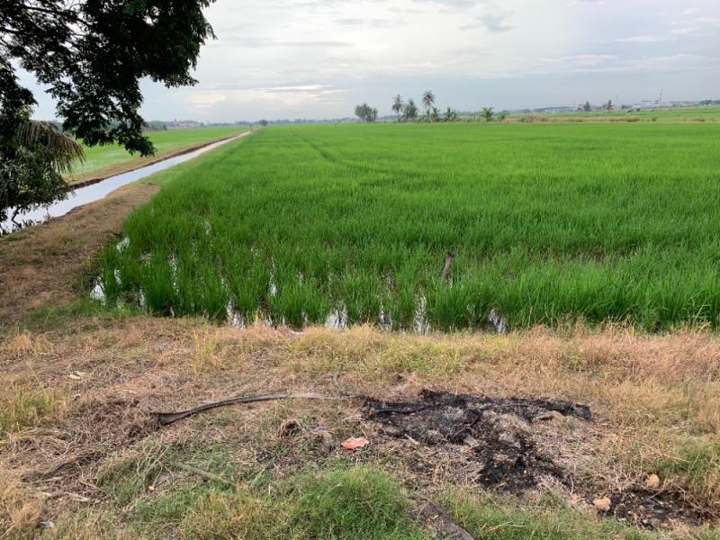 ที่ดิน 139195000 ปทุมธานี ลำลูกกา ลำลูกกา