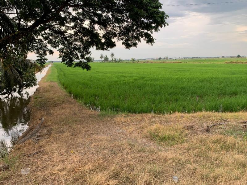 ที่ดิน 139195000 ปทุมธานี ลำลูกกา ลำลูกกา