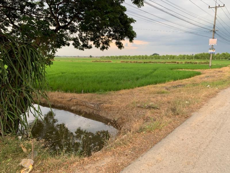 ที่ดิน 139195000 ปทุมธานี ลำลูกกา ลำลูกกา