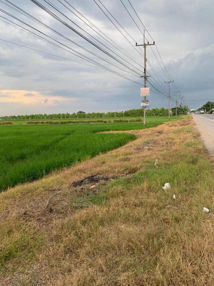 ที่ดิน 139195000 ปทุมธานี ลำลูกกา ลำลูกกา