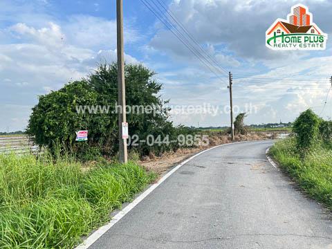 ที่ดิน 5300000 อ่างทอง วิเศษชัยชาญ ไผ่จำศิล