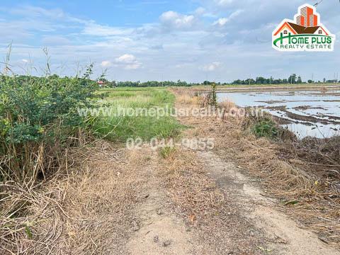 ที่ดิน 5300000 อ่างทอง วิเศษชัยชาญ ไผ่จำศิล