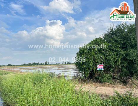 ที่ดิน 5300000 อ่างทอง วิเศษชัยชาญ ไผ่จำศิล