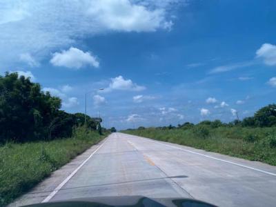 ที่ดิน 1000000 พระนครศรีอยุธยา นครหลวง หนองปลิง