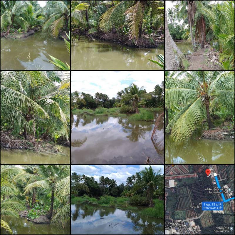 ที่ดิน 5400000 กรุงเทพมหานคร เขตบางขุนเทียน ท่าข้าม