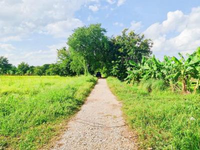 ที่ดิน 2200000 ขอนแก่น เมืองขอนแก่น พระลับ