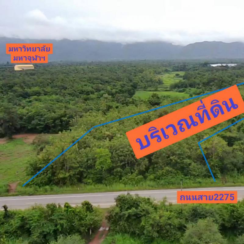 ที่ดิน 2500000 เพชรบูรณ์ หล่มสัก บ้านกลาง