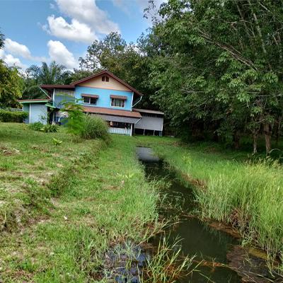บ้านพร้อมที่ดิน 3500000 นครพนม บ้านแพง หนองแวง