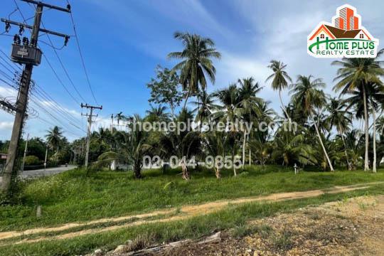 ทาวน์เฮาส์ 3000000 ประจวบคีรีขันธ์ บางสะพาน ธงชัย