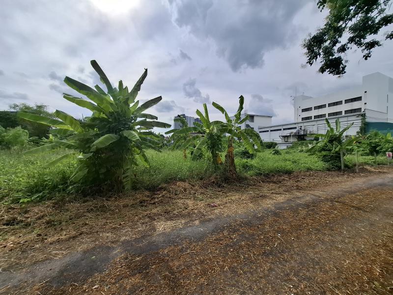 ที่ดิน 65500000 กรุงเทพมหานคร เขตบางซื่อ บางซื่อ