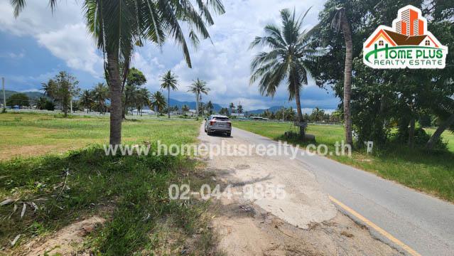ที่ดิน 7900000 เพชรบุรี ชะอำ