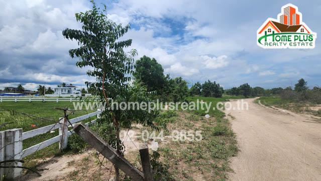 ที่ดิน 7900000 เพชรบุรี ชะอำ