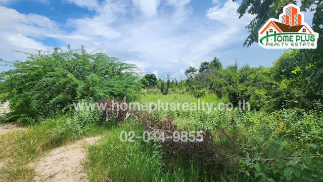 ที่ดิน 7900000 เพชรบุรี ชะอำ