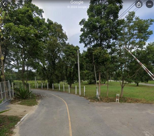 ที่ดิน 169235000 นครราชสีมา ปากช่อง ขนงพระ