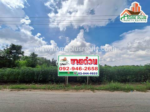 ที่ดิน 27000000 กาญจนบุรี เมืองกาญจนบุรี หนองบัว