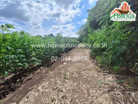 ที่ดิน 27000000 กาญจนบุรี เมืองกาญจนบุรี หนองบัว