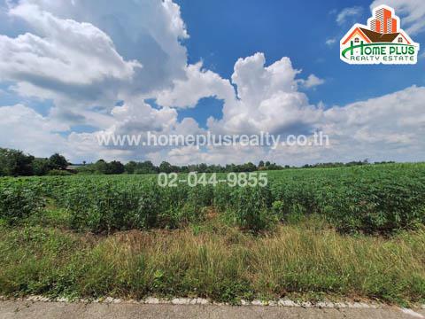 ที่ดิน 27000000 กาญจนบุรี เมืองกาญจนบุรี หนองบัว