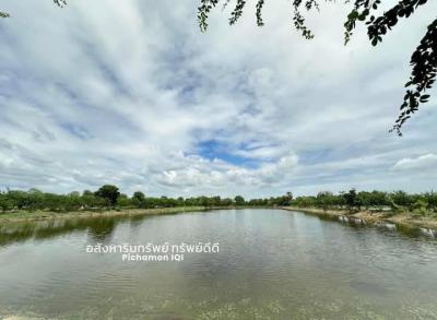ที่ดิน 20647375 ฉะเชิงเทรา เมืองฉะเชิงเทรา บางพระ