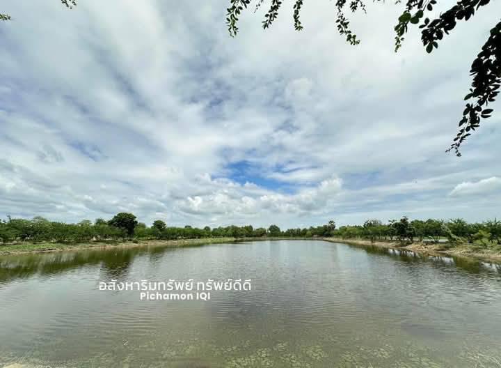 ที่ดิน 20647375 ฉะเชิงเทรา เมืองฉะเชิงเทรา บางพระ