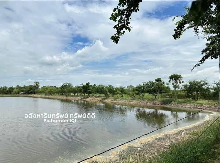 ที่ดิน 20647375 ฉะเชิงเทรา เมืองฉะเชิงเทรา บางพระ