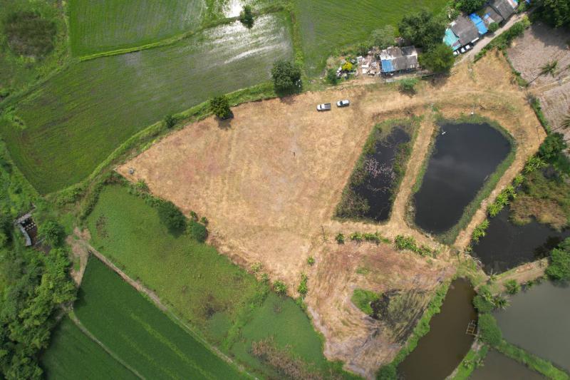 ที่ดิน 19000000 ชลบุรี เมืองชลบุรี หนองรี
