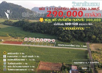 ที่ดิน 290000 ลพบุรี พัฒนานิคม ช่องสาริกา