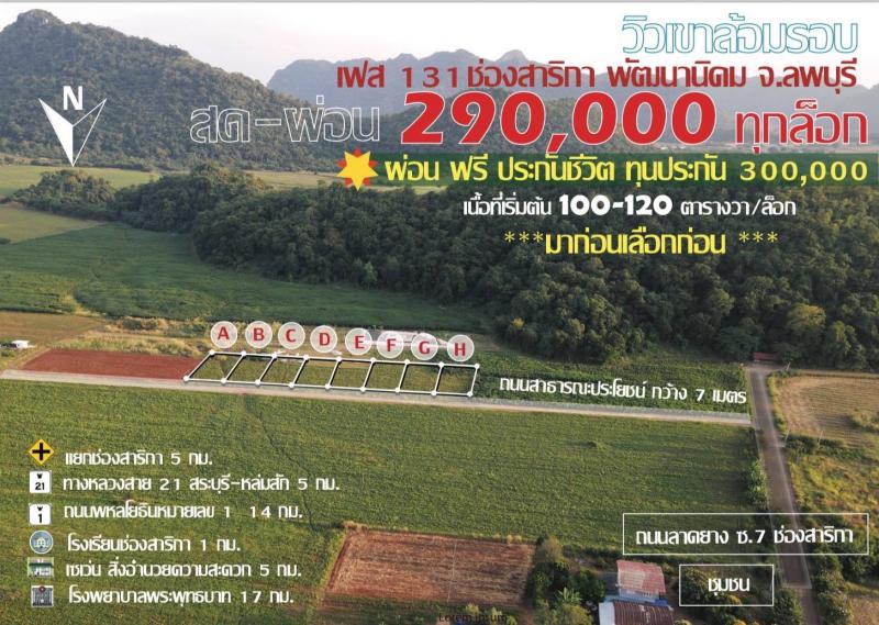 ที่ดิน 290000 ลพบุรี พัฒนานิคม ช่องสาริกา