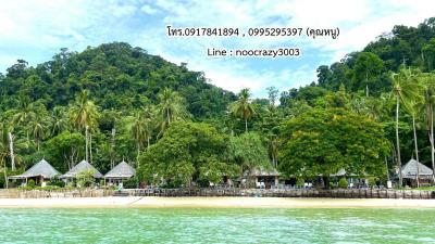 ที่ดิน 220000000 กระบี่ เกาะลันตา เกาะลันตาใหญ่