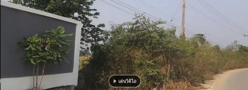 ที่ดิน 10000 ฉะเชิงเทรา แปลงยาว แปลงยาว