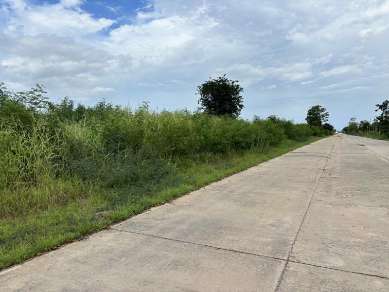 ที่ดิน 115500000 ฉะเชิงเทรา เมืองฉะเชิงเทรา คลองอุดมชลจร