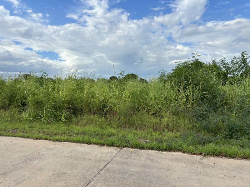 ที่ดิน 115500000 ฉะเชิงเทรา เมืองฉะเชิงเทรา คลองอุดมชลจร