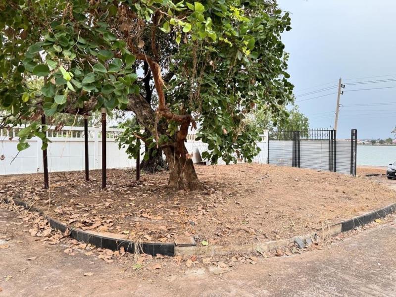 บ้านเดี่ยว 55000000 ขอนแก่น เมืองขอนแก่น บ้านเป็ด
