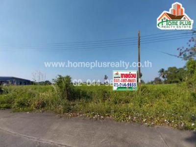 ที่ดิน 3344000 กรุงเทพมหานคร เขตหนองจอก กระทุ่มราย