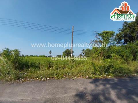 ที่ดิน 3344000 กรุงเทพมหานคร เขตหนองจอก กระทุ่มราย