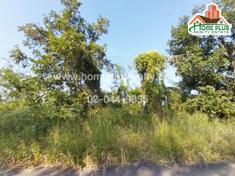ที่ดิน 3344000 กรุงเทพมหานคร เขตหนองจอก กระทุ่มราย
