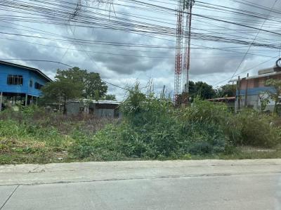 ที่ดิน 5150000 นนทบุรี ปากเกร็ด บางพลับ